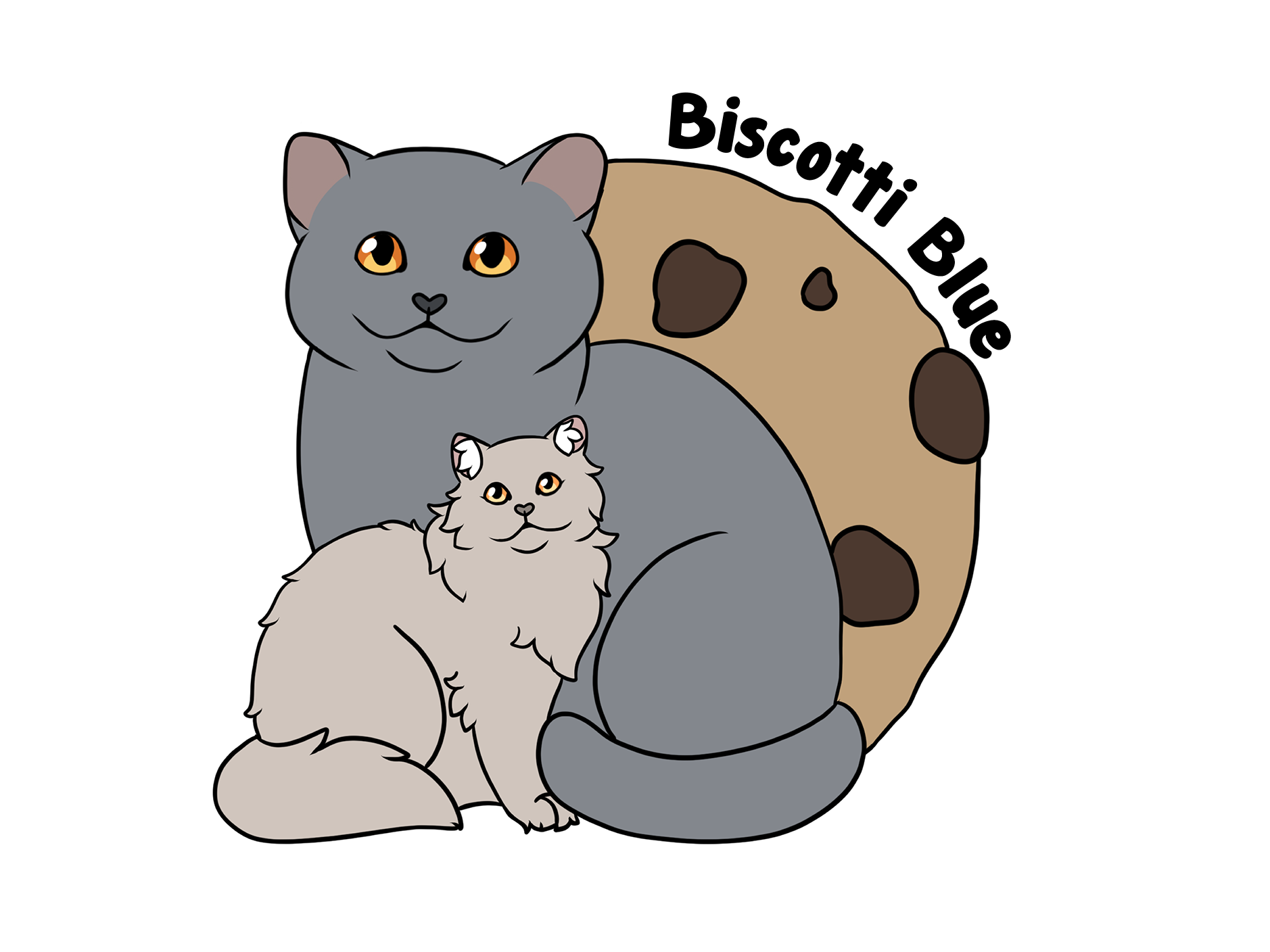 Cattery Biscotti Blue